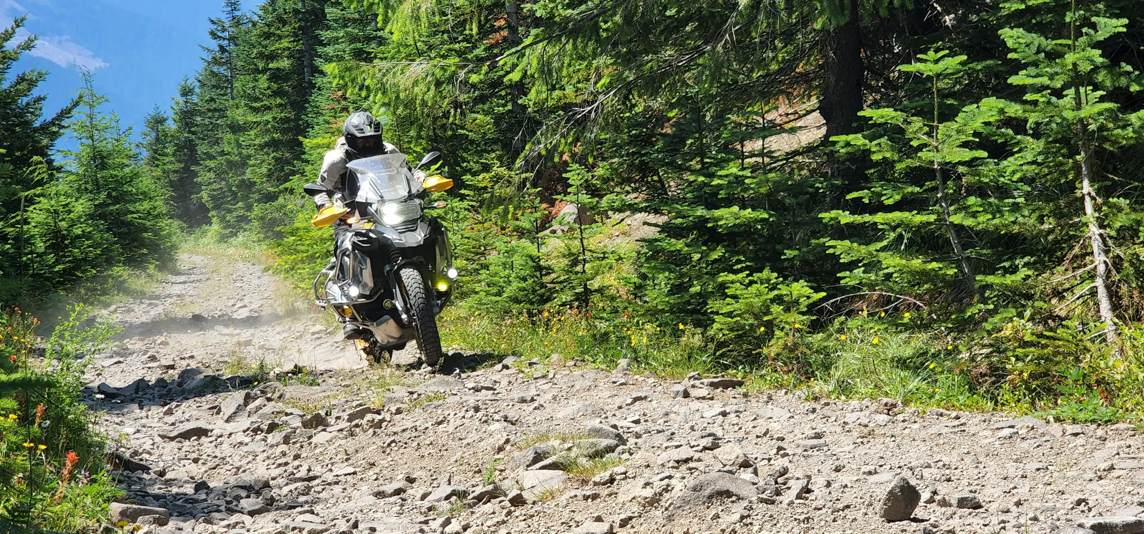 Rider on a loaded adventure bike rolls down a rocky forest road, Washington Backcountry Discovery Route