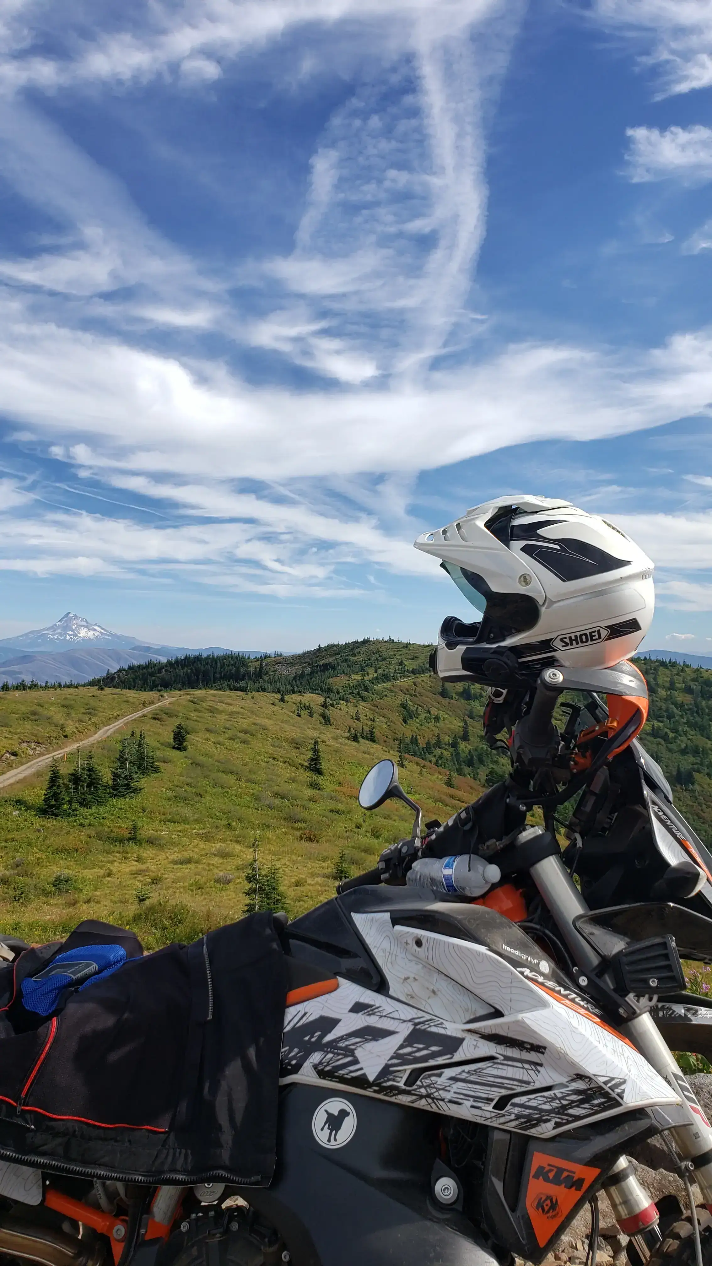 Bret Tkacs's KTM 790 Adventure on a grassy ridge above the Washington Backcountry Discovery Route